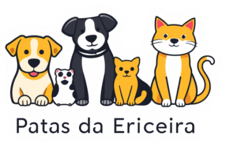 Patas da Ericeira